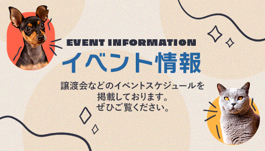 イベント情報 譲渡会などのイベントスケジュールを掲載しております。ぜひご覧ください。