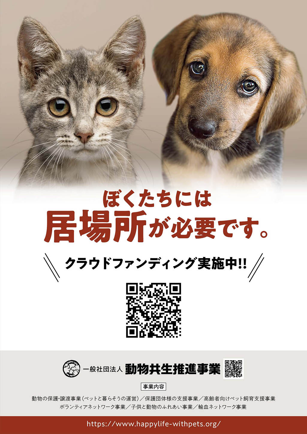 チラシ画像